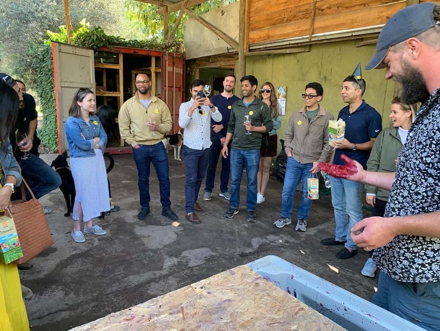 Santiago: Maipo Valley Wine Tasting Tour with 4 Vineyards - Wine, food, and how much tasting to expect