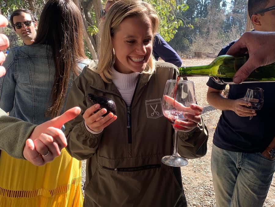 Santiago: Maipo Valley Wine Tasting Tour with 4 Vineyards - Leaving Santiago and reaching the Maipo River