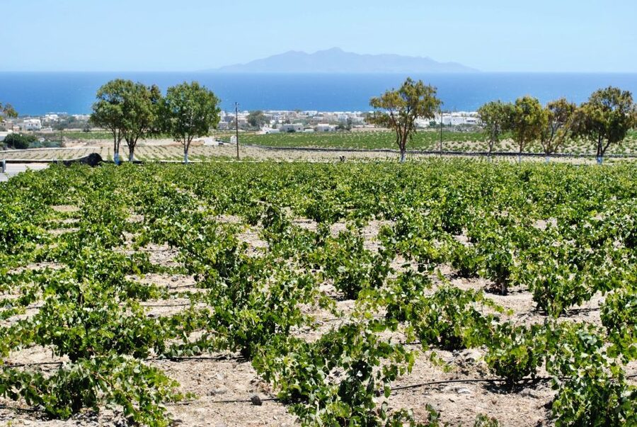 Santorini: Wine Tasting Tour & Sunset Viewing - The minivan ride through Santorini