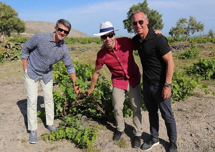 Santorini: Wine Tasting Tour with Snacks - Booking details that matter