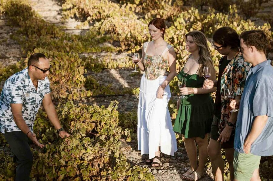 Santorini: Wine Tasting Tour with Snacks - Why Santorini wine is worth your time