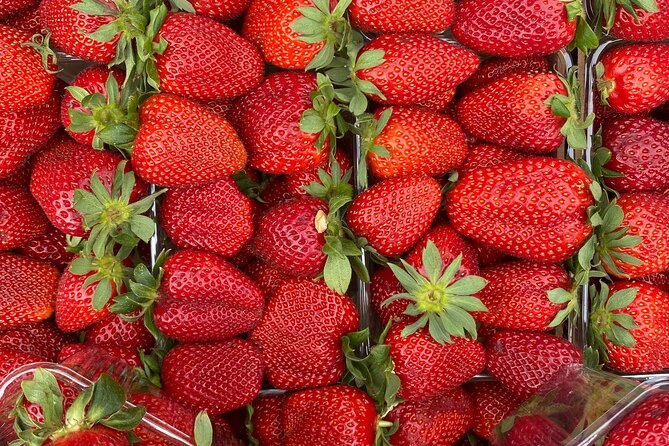 Savor Athens Walk: A Culinary & Travel Writer’s Insider Food Tour - Omonia Square starts with a bakery feast