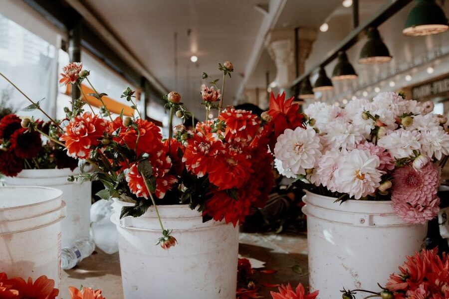 Seattle: Early-Bird Tasting Tour of Pike Place Market - Families, food restrictions, and physical access