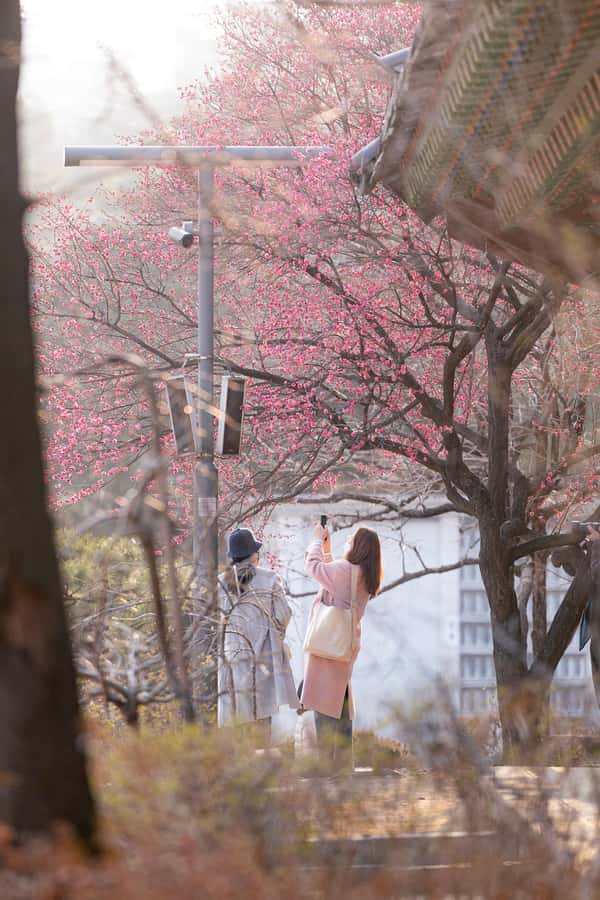 Seoul: Temple & Starfield COEX Mall Gourmet Tour in Gangnam - Meeting details that prevent a rushed start
