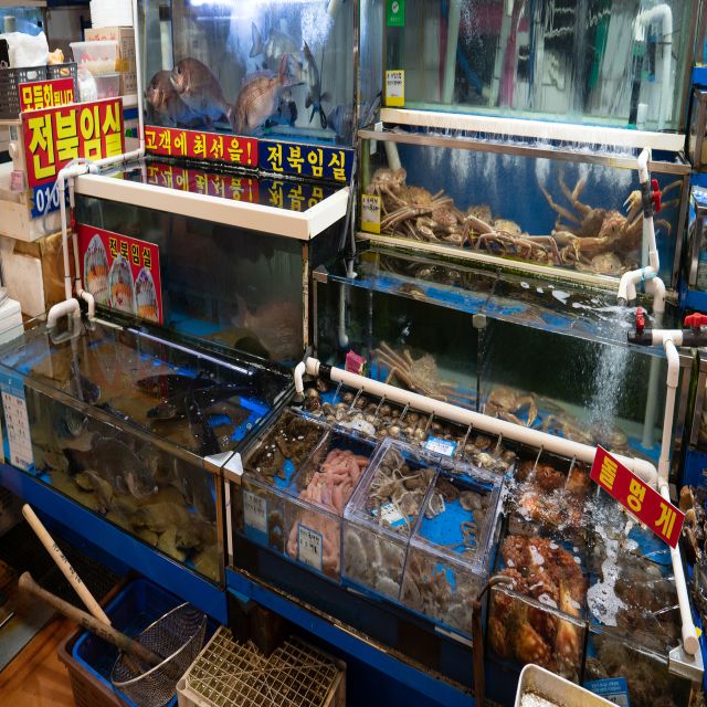 Seoul: The Biggest Sea-food Noryangjin Market Tour - Why Noryangjin is worth your morning or afternoon