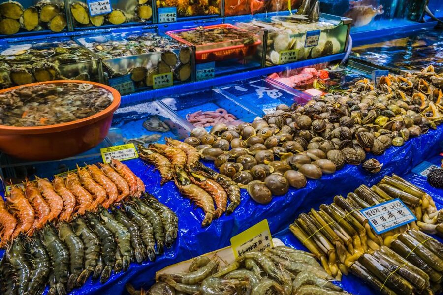 Seoul: The Biggest Sea-food Noryangjin Market Tour - Walking through the seafood stalls