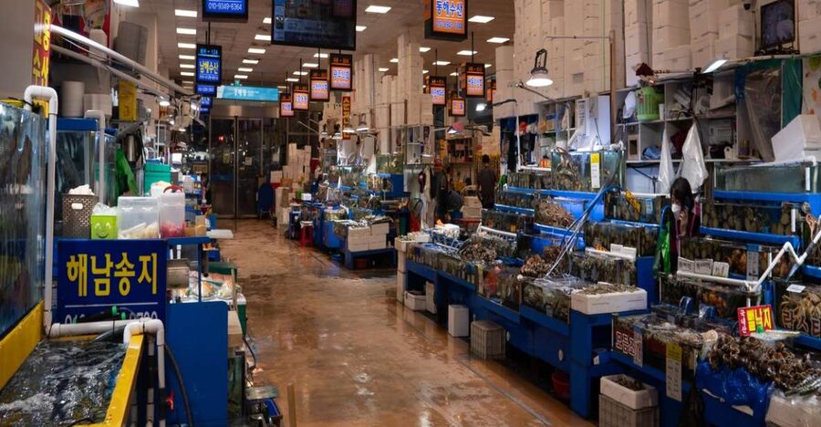 Seoul: The Biggest Sea-food Noryangjin Market Tour - Who will enjoy this market experience?