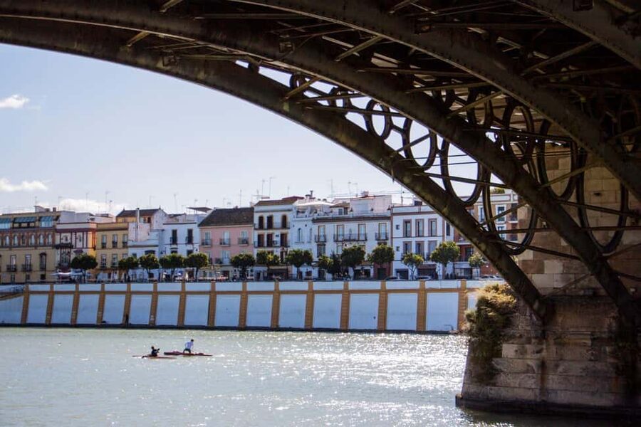 Seville: Food Tour with 10 Tastings of Tapas, Ham, Churros - Drinks that belong with the food