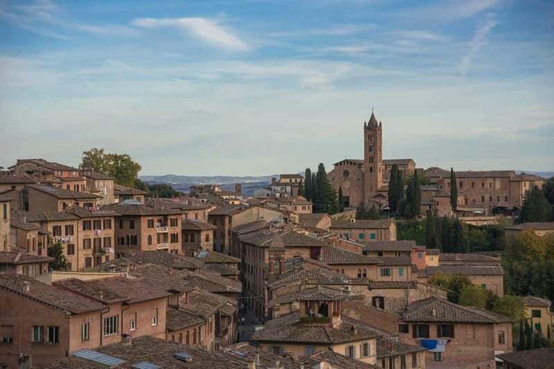 Siena: Guided Walking Food Tour with Full Meal - How much food do you actually get?