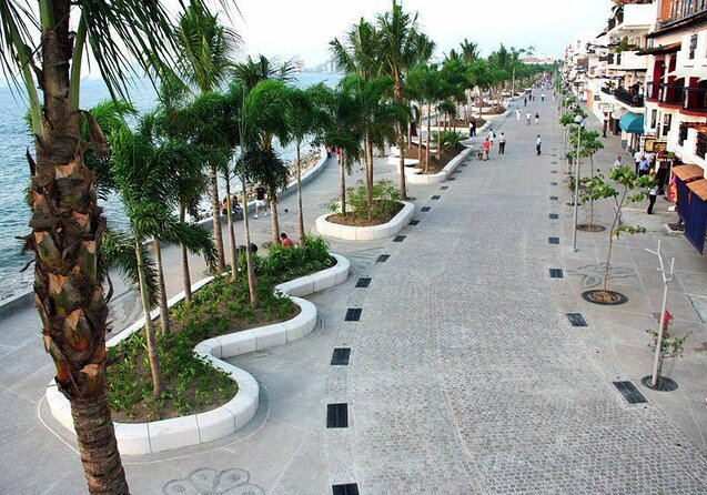 Signature Taco Tour in PV with Vallarta Eats - What makes this taco walk worth your morning