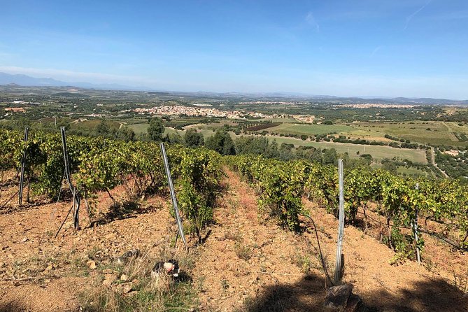 Small-Group Food and Wine Tour from Cagliari - Timing, pickup, and cruise-day planning