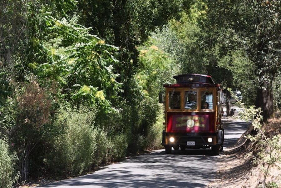 Sonoma Valley: Wine Trolley Tasting Tour with Lunch - Three winery visits, three chances to compare Sonoma