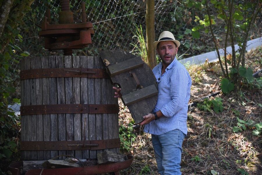 Sorrento: Farm Tour with Cheese Tasting & Pizza Making Class - Is the experience good value?