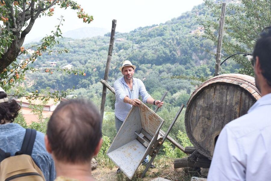 Sorrento: Farm Tour with Cheese Tasting & Pizza Making Class - A hillside farm above Sorrento, not just another cooking class
