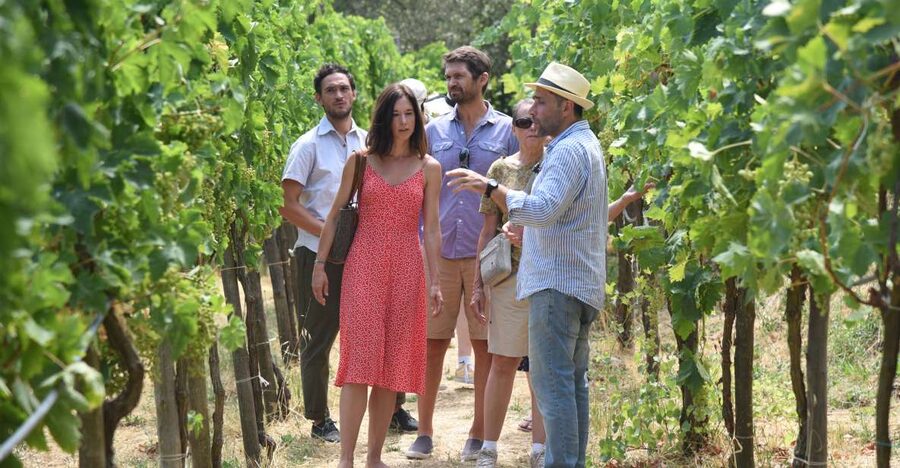 Sorrento: Farm Tour with Cheese Tasting & Pizza Making Class - Walking through lemons, olives, grapes, and seasonal crops