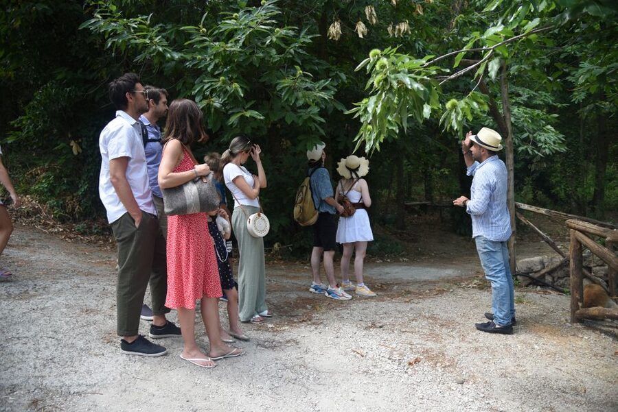 Sorrento: Farm Tour with Cheese Tasting & Pizza Making Class - The farmhouse lunch is a full meal