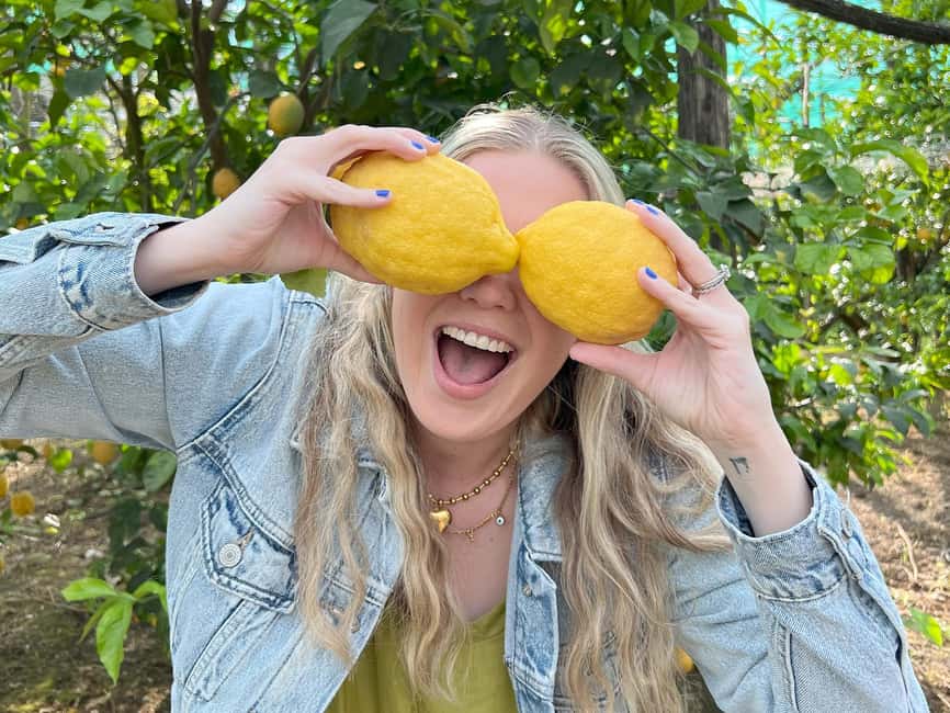 Sorrento: Lemon Picking & Tasting Tour - Why a lemon farm makes a good Sorrento outing