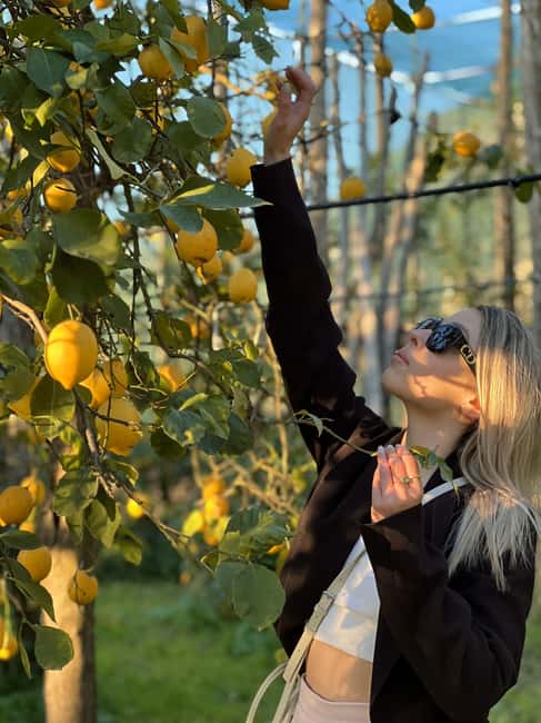 Sorrento: Lemon Picking & Tasting Tour - Finishing with Limoncello