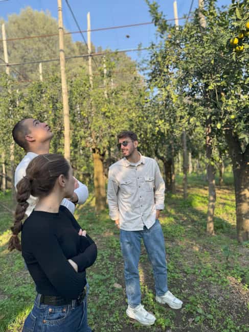 Sorrento: Lemon Picking & Tasting Tour - What the $41 price really covers