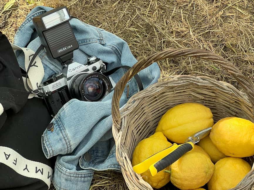 Sorrento: Lemon Picking & Tasting Tour - Starting at the orchard with Tonino or Giovanni