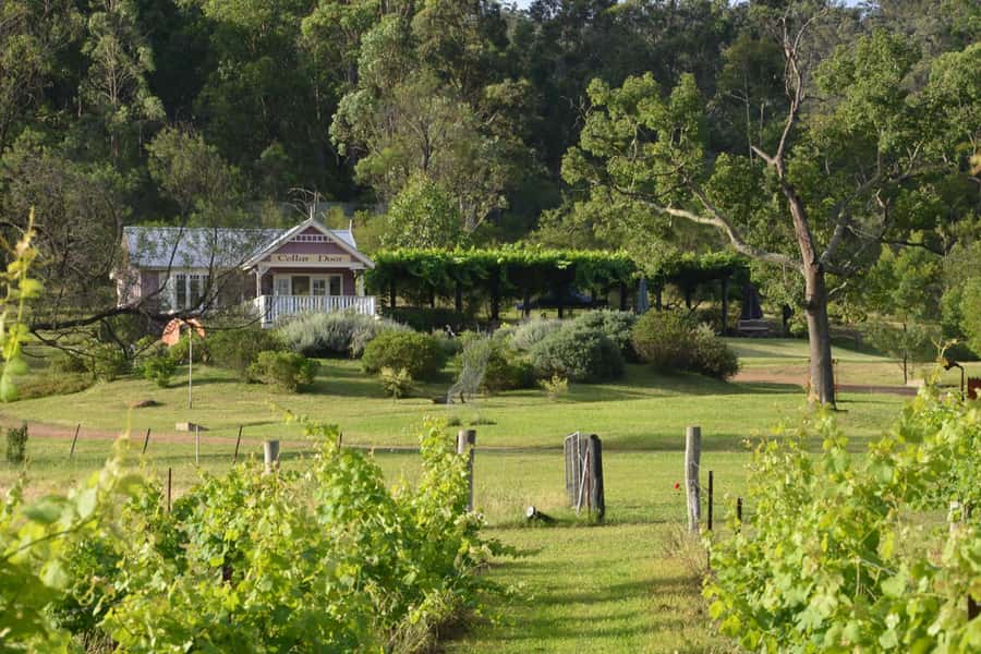 Sydney: Chef-Led Hunter Valley Food & Wine Tour - Why the Fish Market start makes this day different
