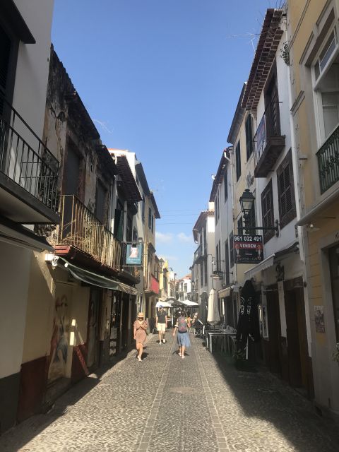 Taste Funchal: food, wine and cultural tour - Walking, group size, and accessibility