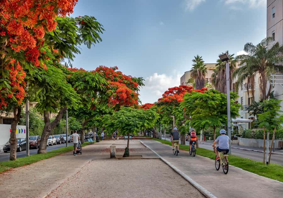 Tel Aviv: Carmel Market & Tel Aviv Tour with Tastings - Key points at a glance