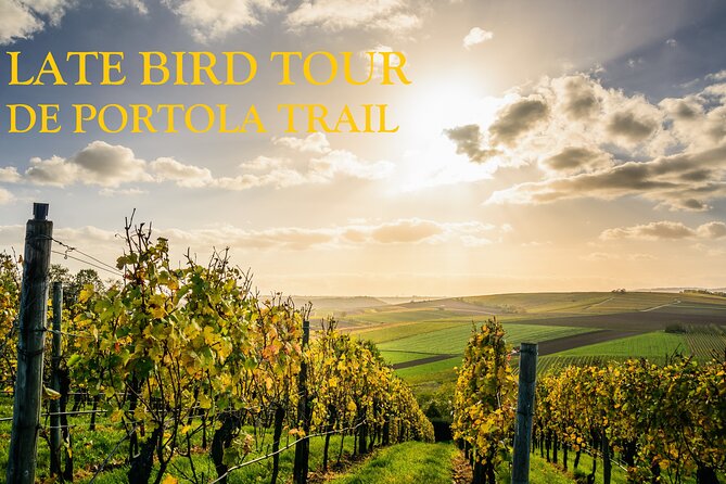 Temecula's Premier Wine Tasting Tour - Three wineries, one easy day