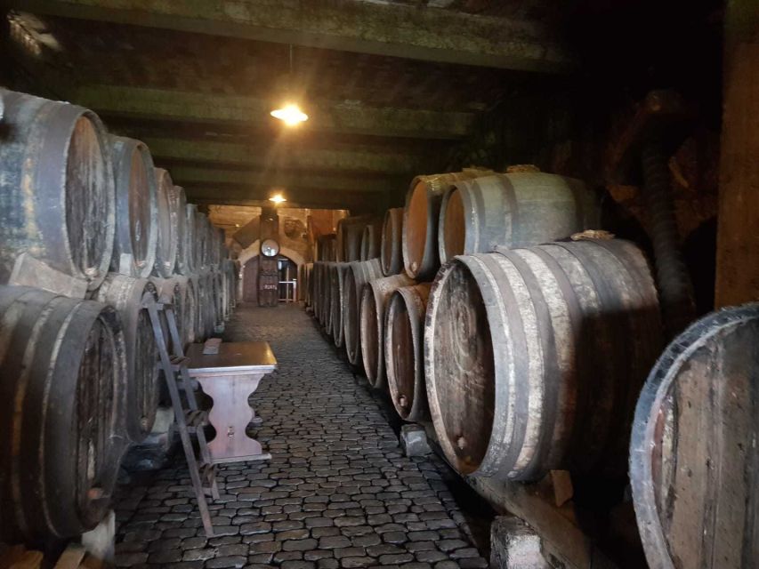 Tenerife: 4-Hour Gauchinche Food Tour - Guides make the difference