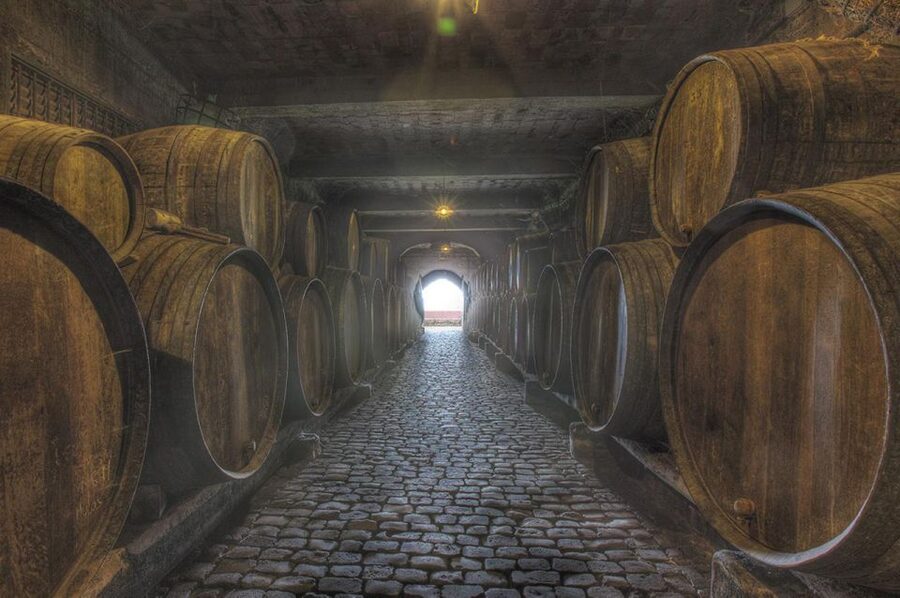 Tenerife: Full-Day Gastronomy and Wine Tour - The guides make the long drives easier
