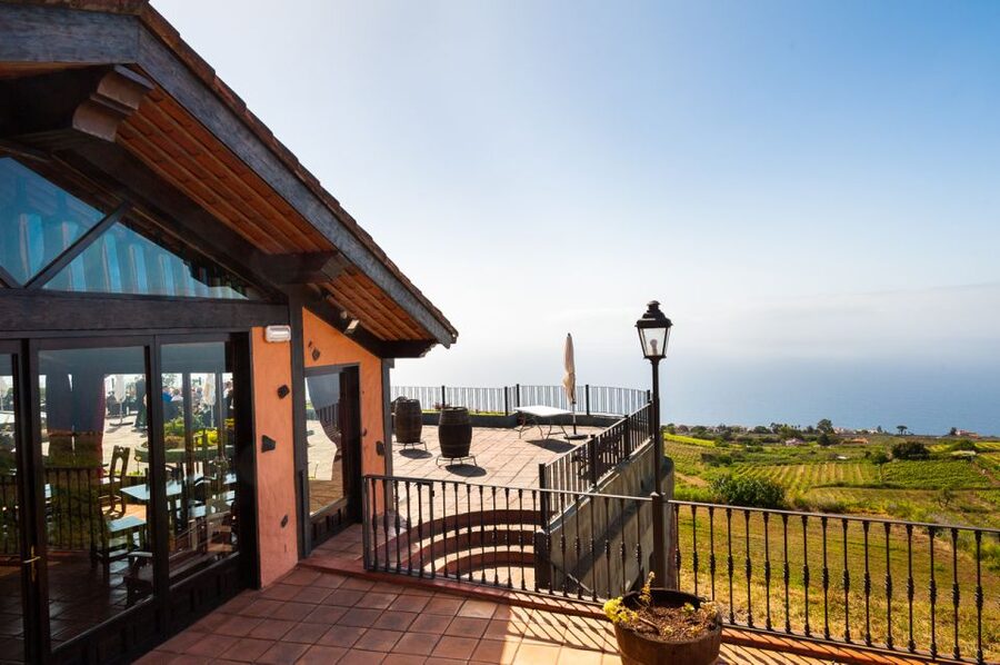 Tenerife: Full-Day Gastronomy and Wine Tour - Practical advice for making the day smoother
