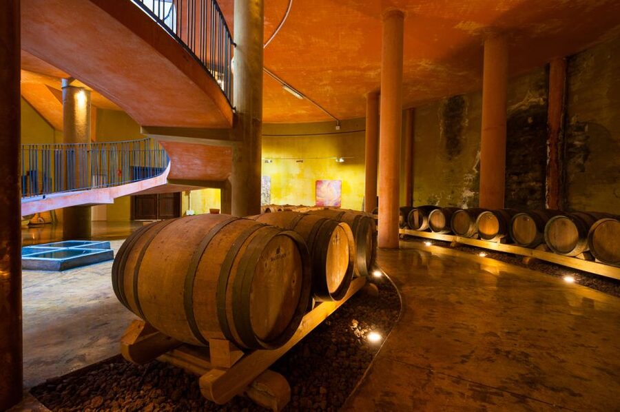 Tenerife: Full-Day Gastronomy and Wine Tour - Who will enjoy this most