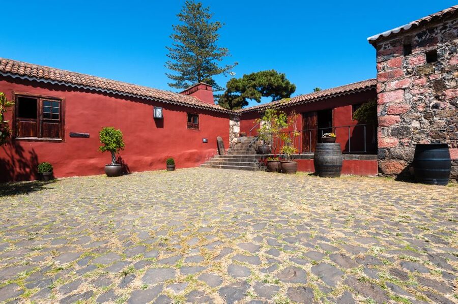 Tenerife: Full-Day Gastronomy and Wine Tour - Should you book the Tenerife gastronomy and wine tour?