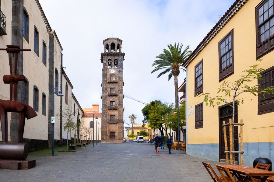 Tenerife: Full-Day Gastronomy and Wine Tour - Casa del Vino pairs cheese with Tenerife wine