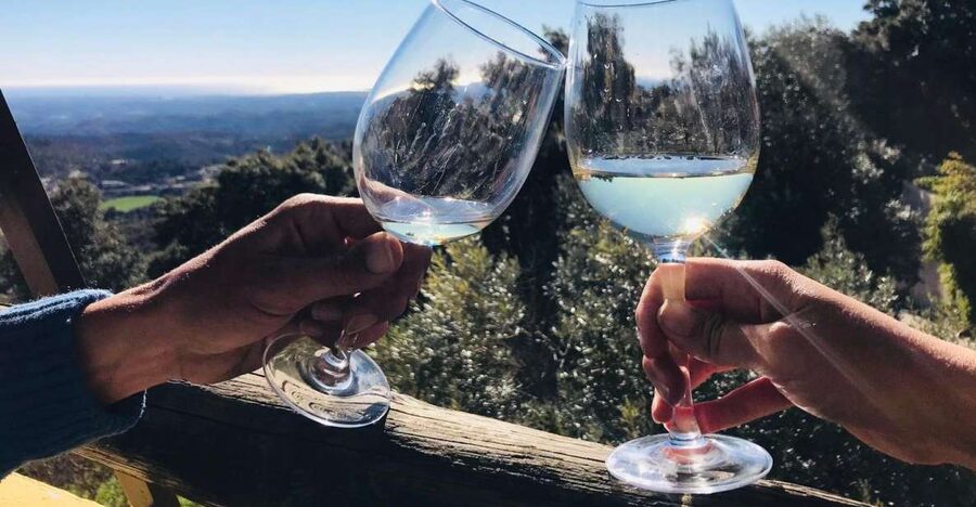The Real Algarve: 2 Boutique Wineries & Silves Tour - Why this wine day feels more personal