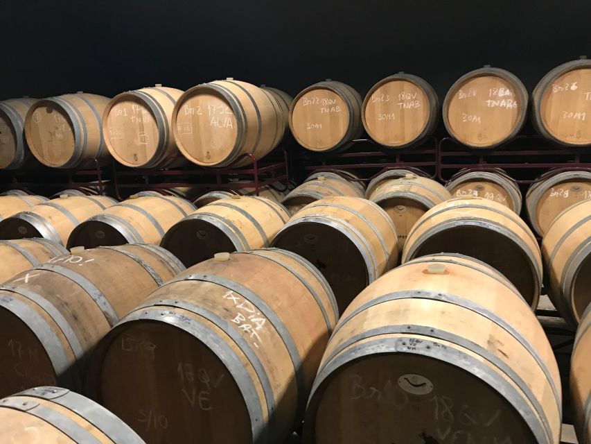 The Real Algarve: 2 Boutique Wineries & Silves Tour - Leaving Albufeira for the Lagoa vineyards
