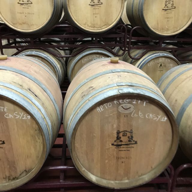 The Real Algarve: 2 Boutique Wineries & Silves Tour - Silves gives the day a historic pause