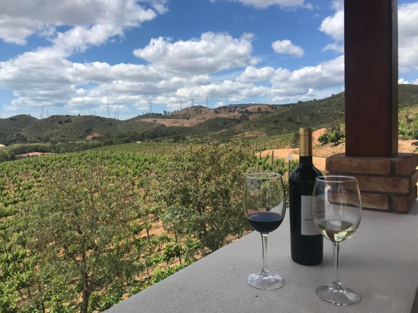 The Real Algarve: 2 Boutique Wineries & Silves Tour - Guides, group size, and the road between stops