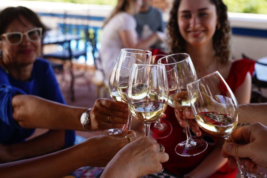 The Real Algarve: 2 Boutique Wineries & Silves Tour - Who will enjoy this Algarve outing?