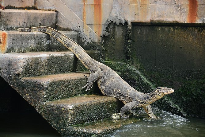 Timeless Thonburi Canal and Food Tour - More noodles at Talad Phlu