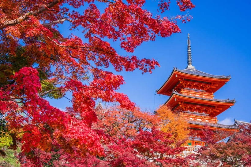 Tokyo: Mount Fuji and Hakone Full Day Tour with Ramen Making - The long ride back to Tokyo