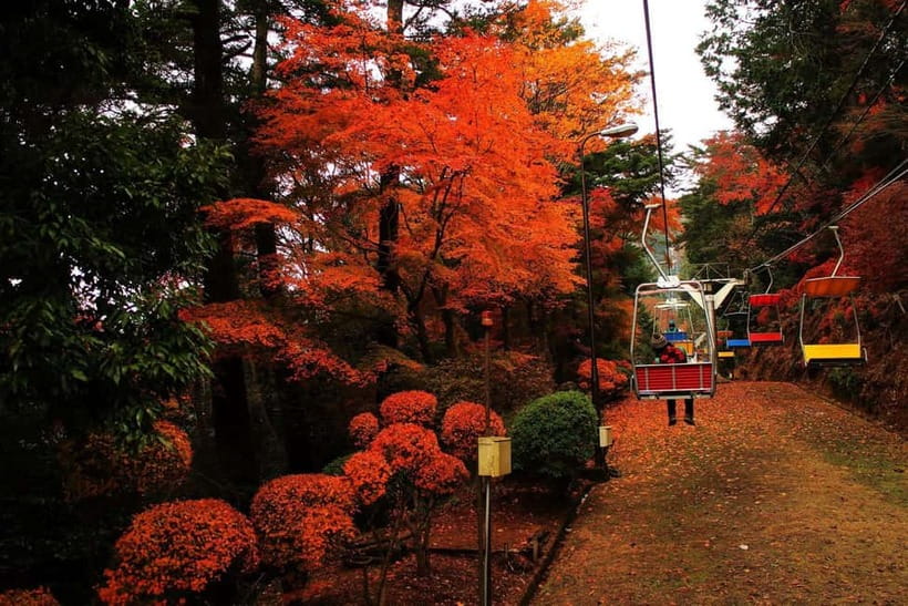 Tokyo: Mt Takao Tour with Ramen and Tattoo-Okay Hot Spring - Takao 599 Museum sets the scene