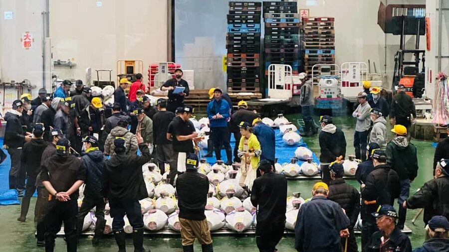 Tokyo: Toyosu Tuna Auction &Tsukiji Market Gourmet Adventure - The Transfer to Tsukiji Market