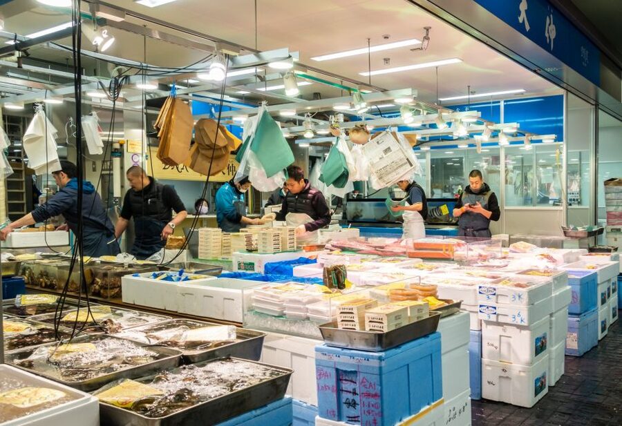 Tokyo Tsukiji Food & Culture Private Tour Licensed Guide - Why this Tokyo food tour works