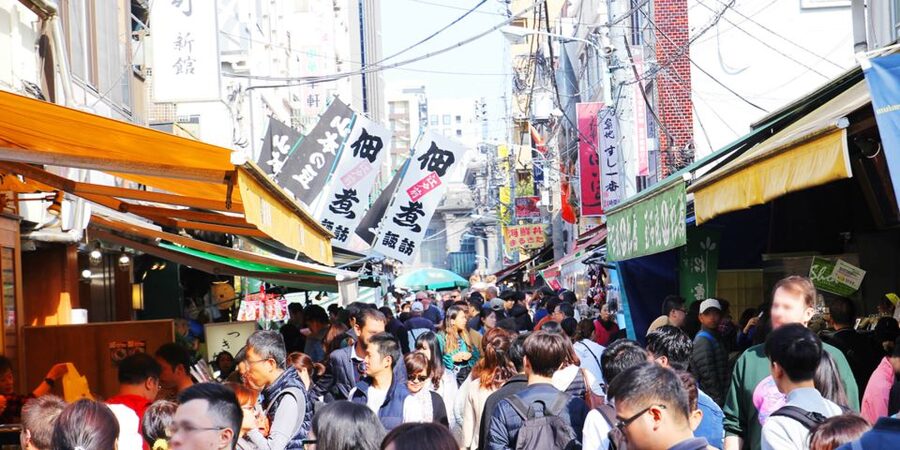 Tokyo Tsukiji Food & Culture Private Tour Licensed Guide - What the guide adds to the day