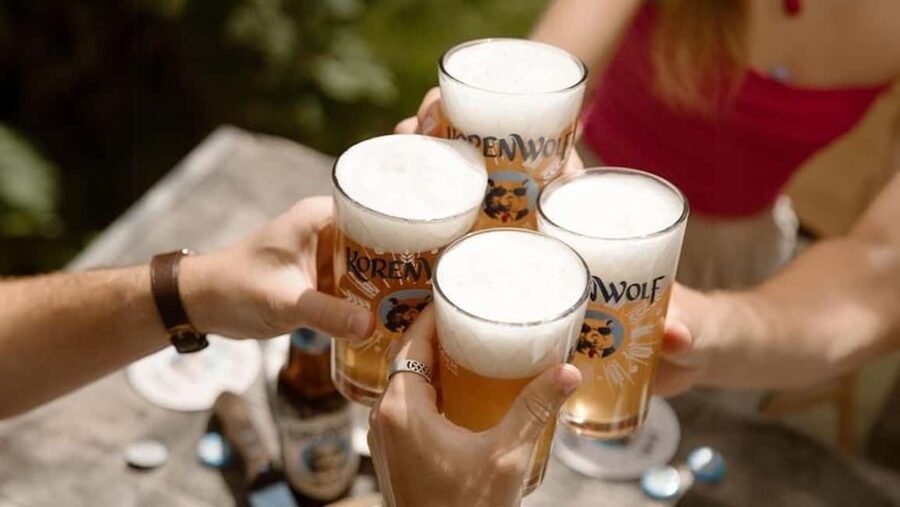 Top 10 Tastings of Amsterdam: Guided Walking Food Tour - What the guides add to the three hours
