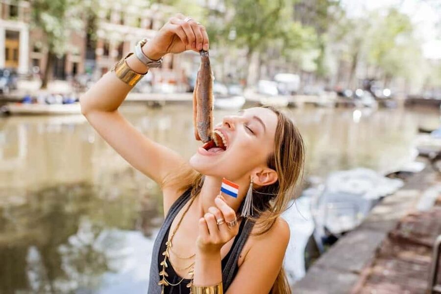 Top 10 Tastings of Amsterdam: Guided Walking Food Tour - Herring and kibbeling bring two sides of Dutch fish