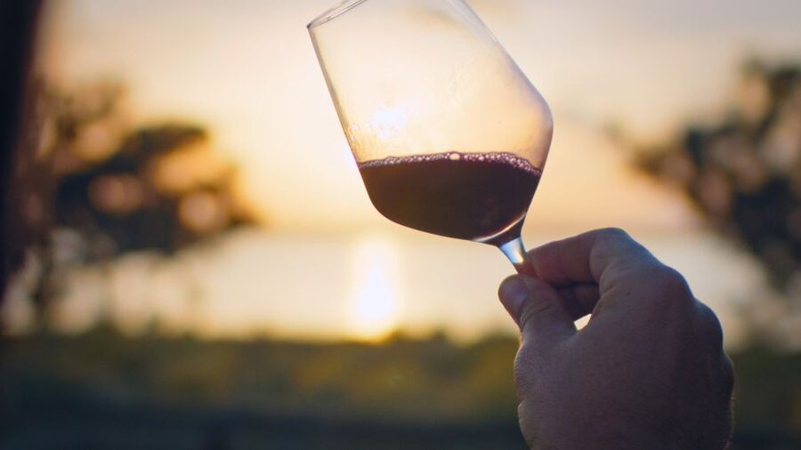 Torrevieja: Local Wine and Food Tasting Tour in La Mata Park - Key points at a glance