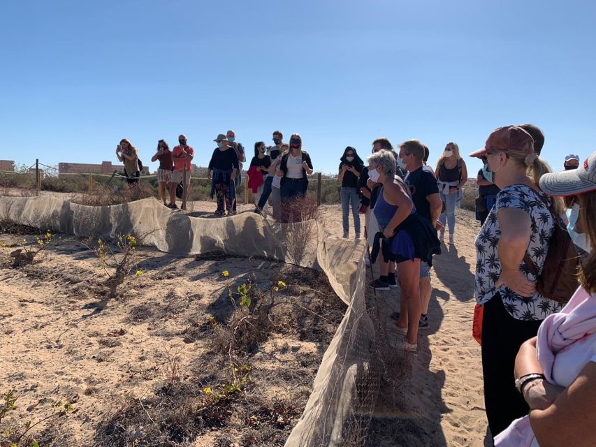 Torrevieja: Local Wine and Food Tasting Tour in La Mata Park - Timing, meeting point, and the heat factor