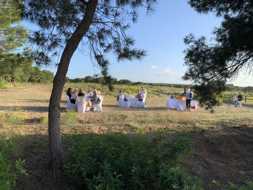 Torrevieja: Local Wine and Food Tasting Tour in La Mata Park - Accessibility: read the details carefully
